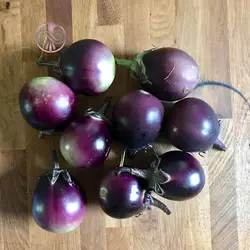 بذر بادمجان گرد مشکی ژاپنی