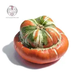 بذر کدو تنبل توربن ها