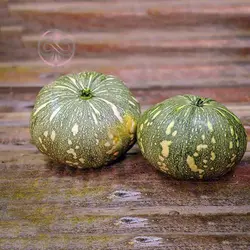 بذر کدو تنبل کاریبین