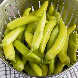 بذر فلفل موزی