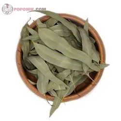 برگ اکالیپتوس