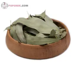 برگ اکالیپتوس