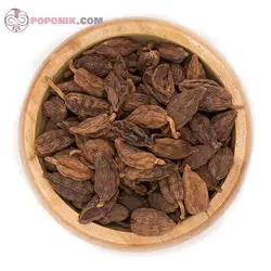 هلیله سیاه