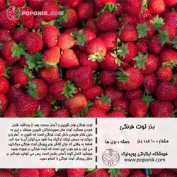 مجموعه بذر توت فرنگی