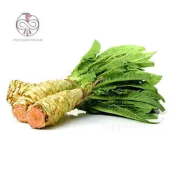 بذر کاهو سالاد مارچوبه روسی
