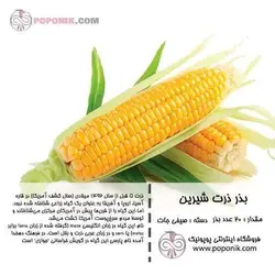 مجموعه بذر ذرت