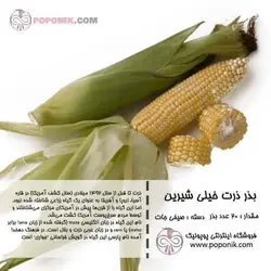 مجموعه بذر ذرت
