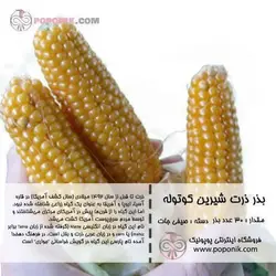 مجموعه بذر ذرت