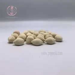 کشک خشک