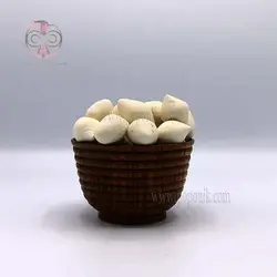 کشک خشک