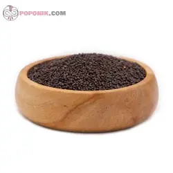 خردل سیاه