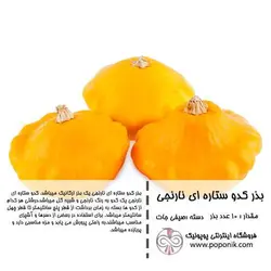 مجموعه بذر کدو ستاره ای