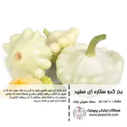 مجموعه بذر کدو ستاره ای