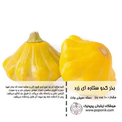 مجموعه بذر کدو ستاره ای