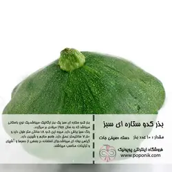 مجموعه بذر کدو ستاره ای