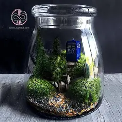 خاک تراریوم ارگانیک گیلدا 2 لیتری