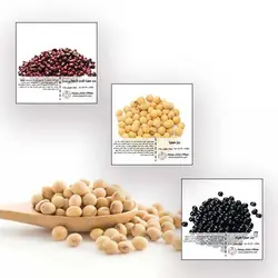 مجموعه بذر سویا رنگین کمان