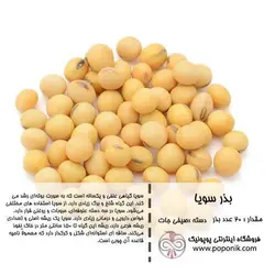 مجموعه بذر سویا رنگین کمان