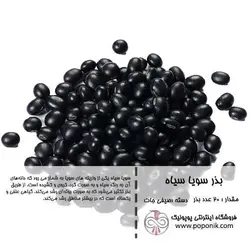 مجموعه بذر سویا رنگین کمان