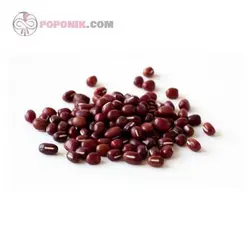 بذر سویا قرمز (ادزوکی بین)