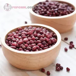 بذر سویا قرمز (ادزوکی بین)