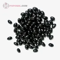 بذر سویا سیاه