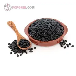 بذر سویا سیاه