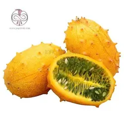 نشاء خیار شاخدار آفریقایی