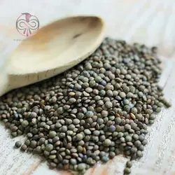 بذر عدس آبی