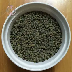 بذر عدس آبی