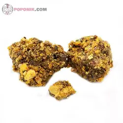 آنغوزه