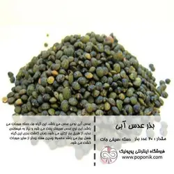 مجموعه بذر عدس