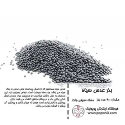 مجموعه بذر عدس