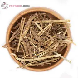 ساقه کاسنی