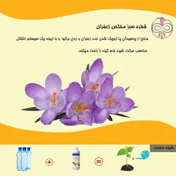 کود قطره سبز مختص زعفران