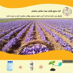 کود مایع قطره سبز مختص زعفران