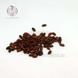 لوبیا پاچ باقالا
