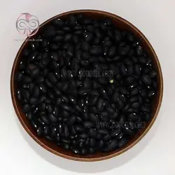 لوبیا سیاه
