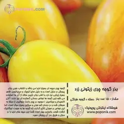 مجموعه بذر گوجه چری زیتونی