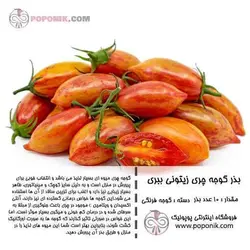 مجموعه بذر گوجه چری زیتونی