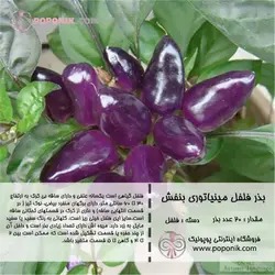 مجموعه بذر فلفل مینیاتوری
