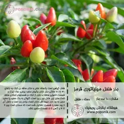 مجموعه بذر فلفل مینیاتوری