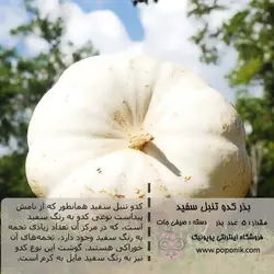 مجموعه بذر کدو تنبل