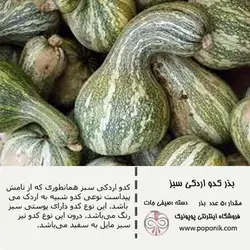 مجموعه بذر کدو تنبل