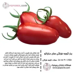 مجموعه بذر گوجه فرنگی