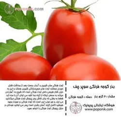 مجموعه بذر گوجه فرنگی