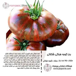 مجموعه بذر گوجه فرنگی