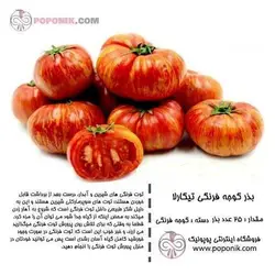 مجموعه بذر گوجه فرنگی