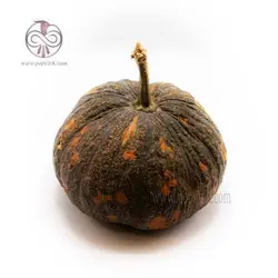 بذر کدو تنبل هالوین تایگر