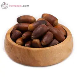 بلوط
